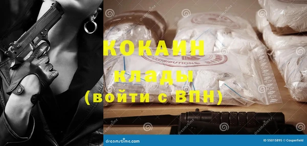 Альфа ПВП Аркадак