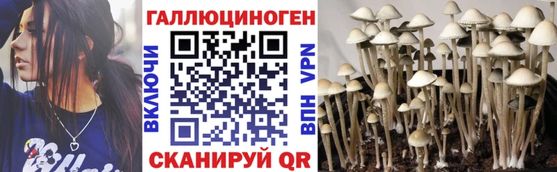 Галлюциногенные грибы мицелий  Лебедянь 
